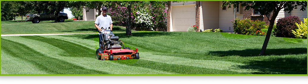 sub-lawn-maintainence